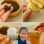 Delicias Naturales: Té de Clavo de Olor y Jengibre para el Bienestar