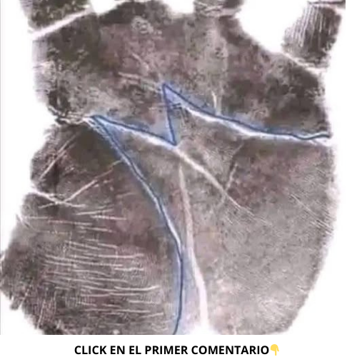 Quiromancia y líneas de la palma