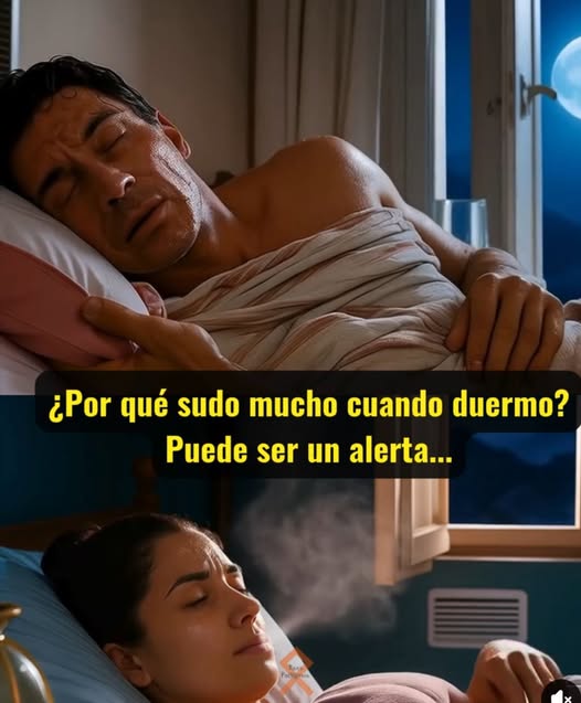 Personas durmiendo en una habitación luminosa