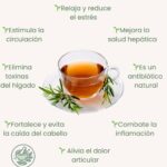 Descubre los Beneficios del Té de Romero en Ayunas