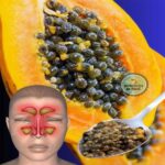 Las Semillas de Papaya: Un Remedio Casero Eficaz para la Sinusitis