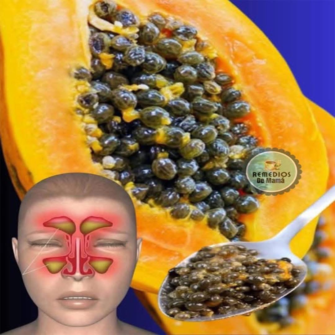 Semillas de Papaya y Sinusitis