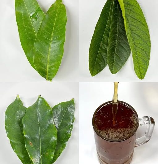 La Bebida Milagrosa: Una Infusión Natural para Mejorar la Salud