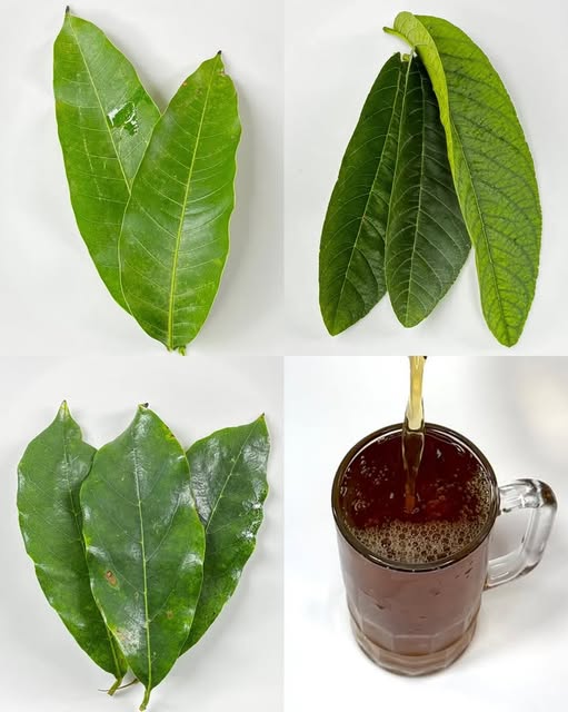 Bebida natural para la salud