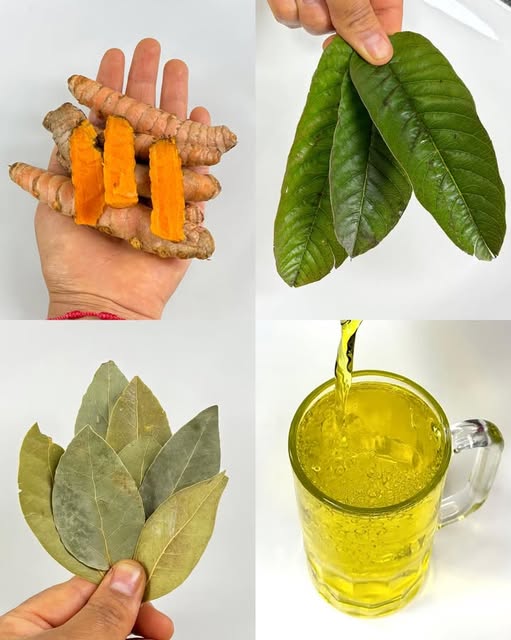 Ingredientes naturales para infusión