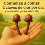 Los Asombrosos Beneficios de Comer Clavos de Olor: ¡Descubre por Qué Deberías Incluirlos en tu Dieta!
