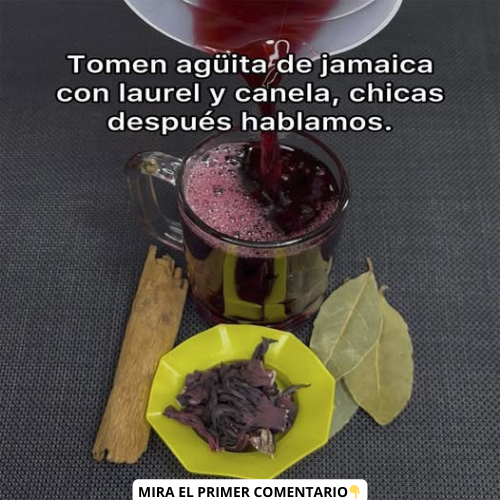 Bebida de jamaica, canela y laurel