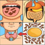 Los Sorpresivos Beneficios de los Clavos de Olor para Tu Salud