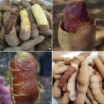 Descubre el Tamarindo: Beneficios, Usos y Recetas Deliciosas