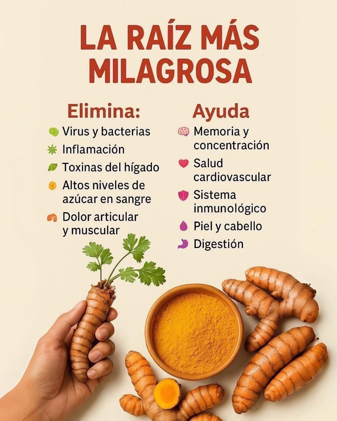 Cúrcuma: La raíz milagrosa