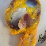 Mollejas de Pollo: Beneficios, Recetas y Propiedades