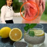 Receta Natural para Restaurar el Cartílago de la Rodilla