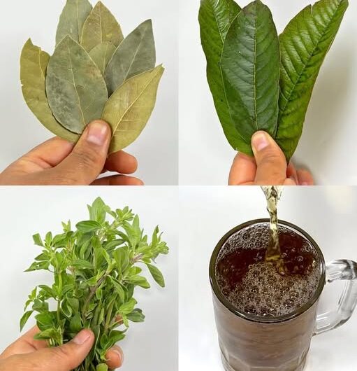 Hojas Mágicas: Remedios Naturales para la Salud y el Bienestar