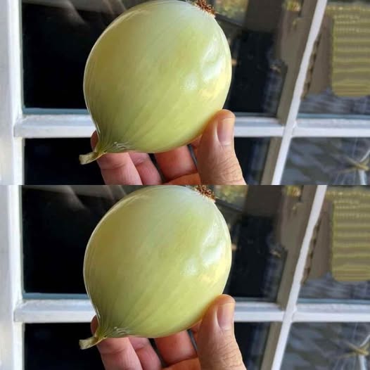 ¿Por qué Frotar Cebolla en las Ventanas? El Truco Casero que te Sorprenderá