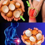 Remedios Naturales: Alivio del Dolor en las Rodillas con Cáscaras de Huevo