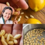 El Secreto para un Hígado Joven y un Intestino Vibrante