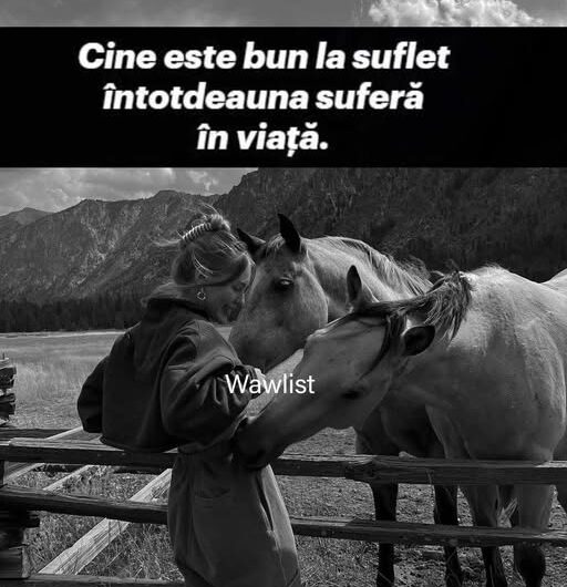 Remedios Naturales para el Bienestar Emocional y Físico