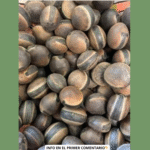 El Poder Oculto de las Semillas: Dile Adiós al Cáncer con Este Fruto Natural