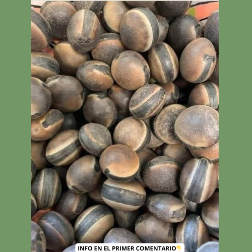 Semillas de Guanábana