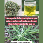 La Hierba Milagrosa: Descubriendo los Beneficios Ocultos de Esta Planta
