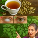 12 Beneficios de la Semilla de Moringa que Tu Médico Nunca Te Dirá
