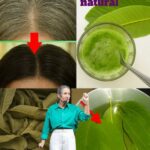 Hojas de Guayaba: El Secreto para Convertir el Cabello Blanco en Negro y Hacer Crecer Cabellos Lujosos en Minutos