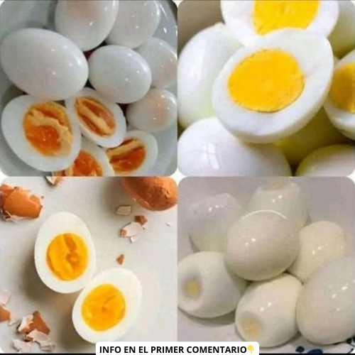 Tipo de huevos hervidos con diferentes tiempos de cocción