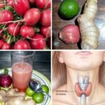 Rábanos, Jengibre y Miel: Remedios Naturales para la Tiroides y la Vesícula Biliar