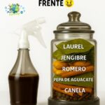 El Tónico Natural que Promete Hacer Crecer el Cabello: ¿Mito o Realidad?