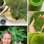 Los Increíbles Beneficios de las Hojas de Papaya: Un Tesoro Natural para tu Salud