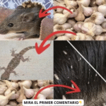 El Ajo: Tu Arma Letal Para Remedios Caseros y Salud Natural