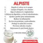 Todo lo que Debes Saber sobre la Leche de Alpiste y sus Propiedades Curativas