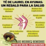 El Mágico Té de Laurel: Beneficios para la Salud que No Conocías