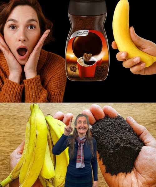 Plátano y Café para Salud