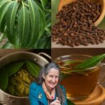 Té de Hojas de Mango con Clavos: Beneficios y Receta Completa