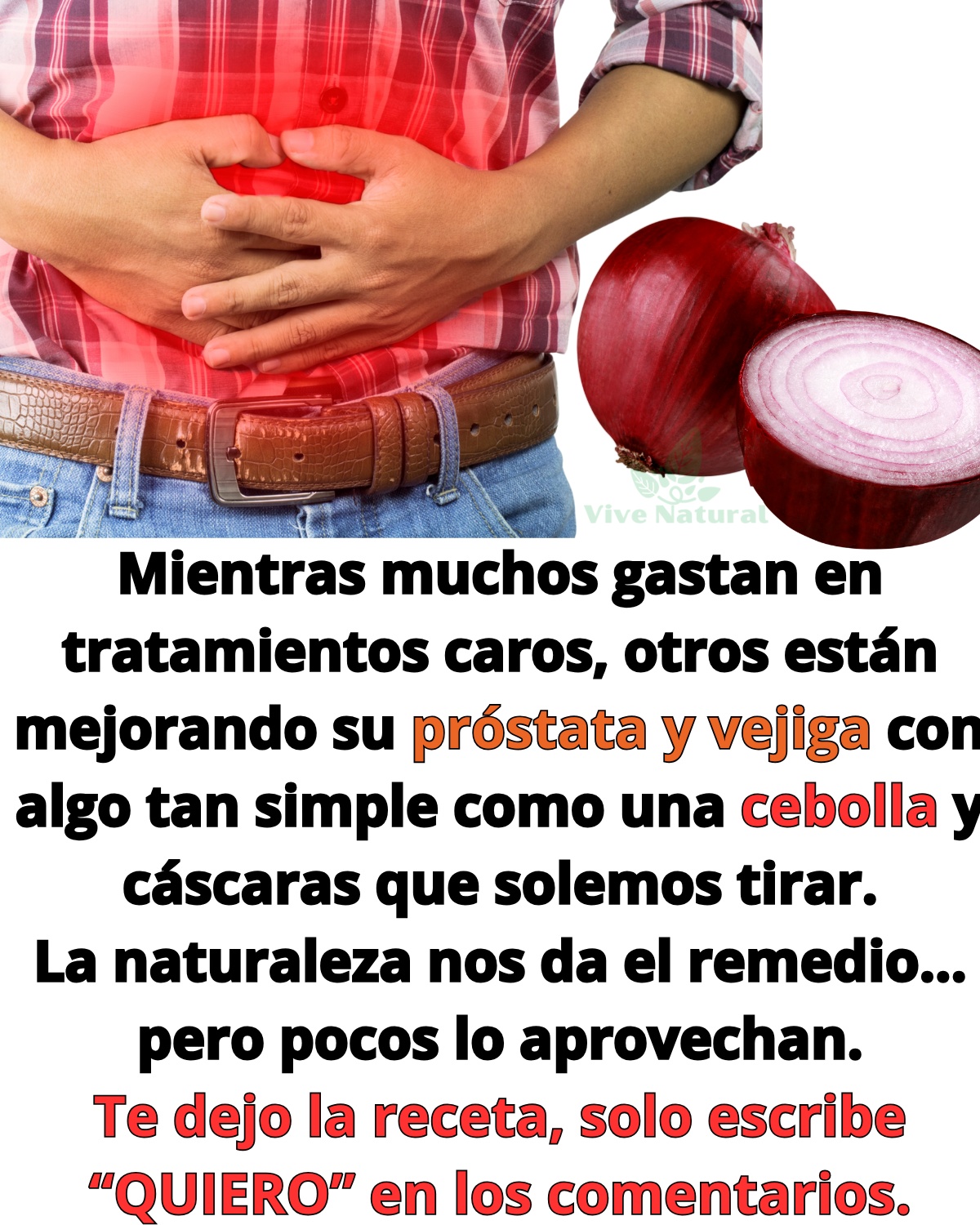 Cebolla roja y abdomen