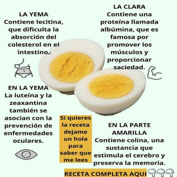 Beneficios nutricionales del huevo