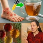 5 Tés para Diabéticos que Ayudan a Reducir el Azúcar en Sangre