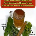 Adiós a la Mala Circulación y Otros Problemas de Salud con esta Bebida Natural