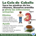 Infusión de Cola de Caballo y Perejil: Beneficios y Receta Natural