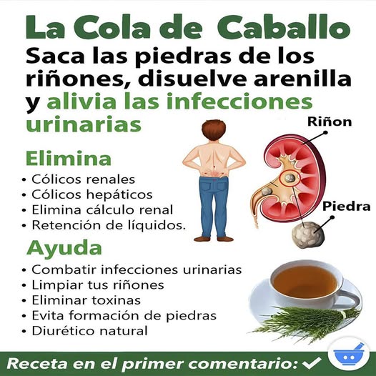 Infusión de Cola de Caballo y Perejil