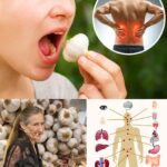 Come 2 Dientes de Ajo Crudo al Día: 10 Increíbles Beneficios que Probablemente No Conocías 🧄