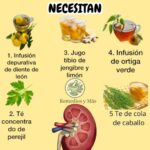 5 Bebidas Naturales para Cuidar tus Riñones