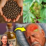 Descubre 6 Razones Poderosas para Usar Aceite de Ricino Antes de Dormir Después de los 30