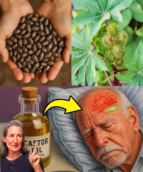 Aceite de Ricino - Aplicaciones de Salud