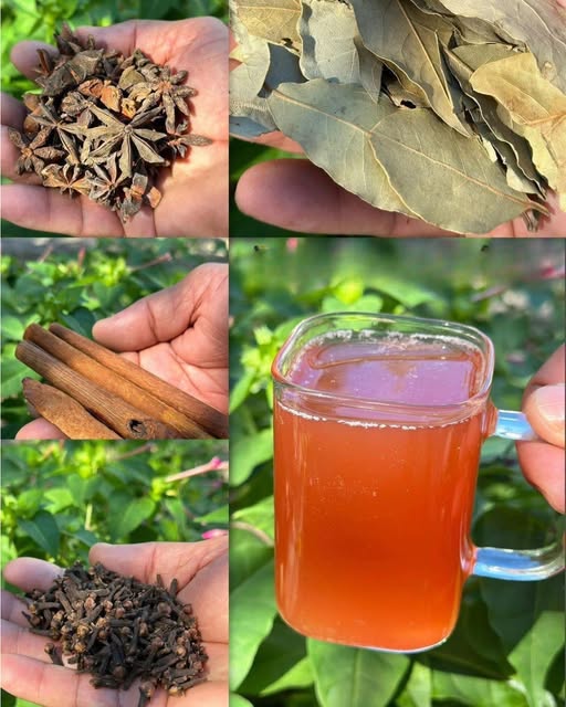 Ingredientes naturales para preparar infusión curativa