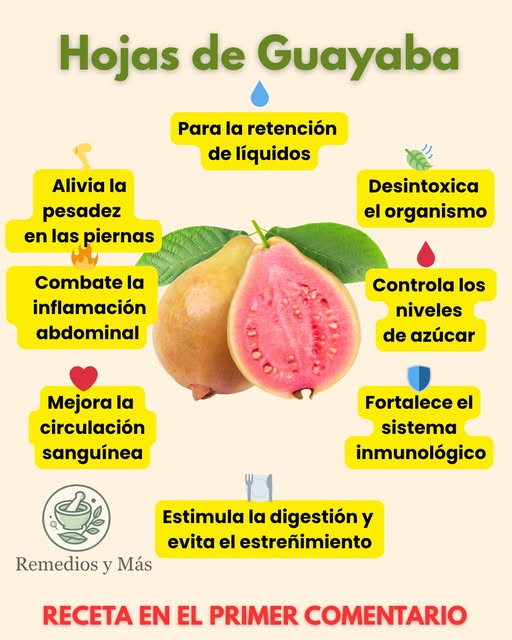 Hojas de Guayaba