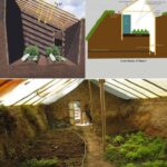 Cultiva Alimentos Durante Todo el Año con un Invernadero Subterráneo Walipini