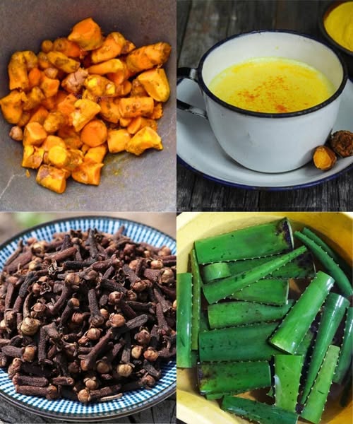 Ingredientes naturales para la salud