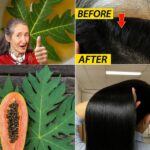 Transforma tu Cabello: Conviértelo de Blanco a Negro de Forma Natural y Estimula su Crecimiento con Hojas de Papaya